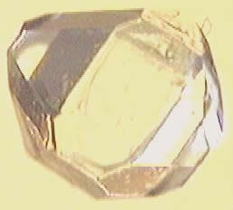 Xylitol Crystal