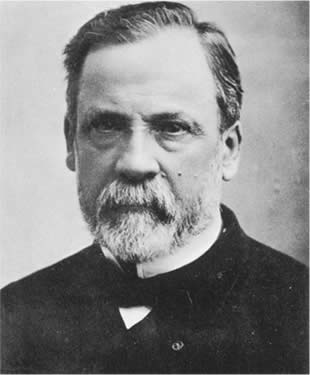 Louis Pasteur Germ Theory